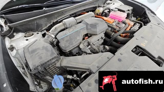 Hyundai Tucson Tucson Hybrid (NX4) 2022 года - вид 6