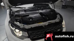 Миниатюра 6