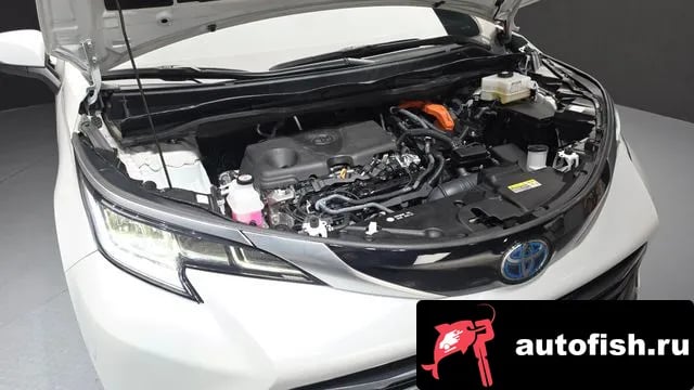 Toyota Sienna Siena 4th Generation 2024 года - вид 6