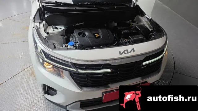 Kia Seltos The New Celtos 2024 года - вид 6