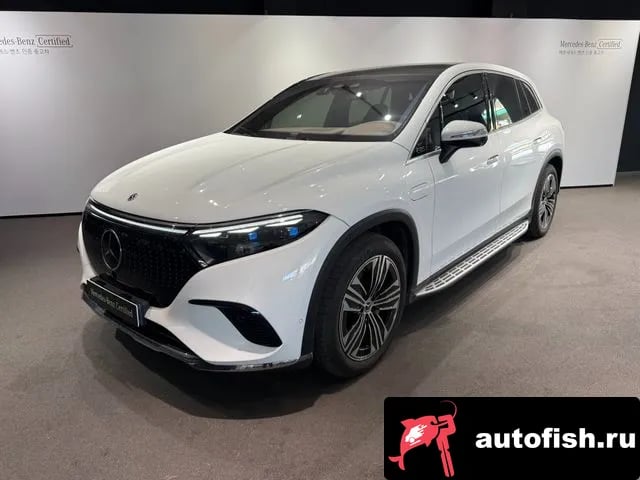 Mercedes-Benz EQS EQS SUV X296 2024 года - вид 1