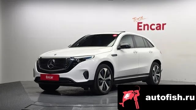 Mercedes-Benz EQC EQC N293 2020 года - вид 1
