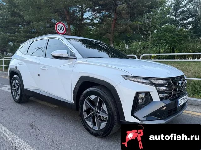 Hyundai Tucson The New Tucson (NX4) 2024 года - похожие автомобили