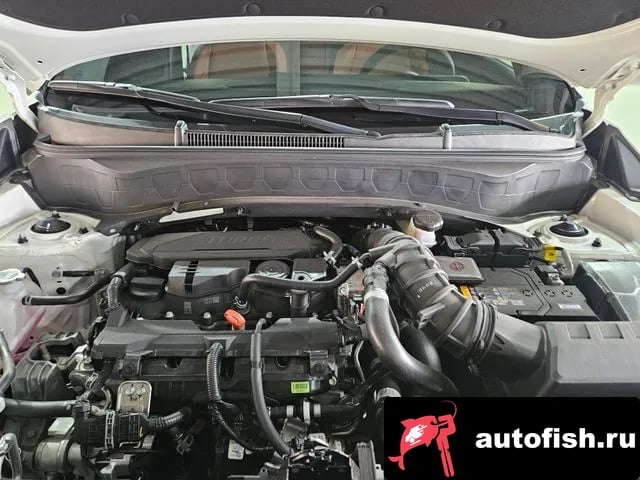 Kia Seltos The New Celtos 2025 года - похожие автомобили