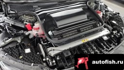 Миниатюра 6