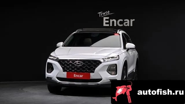 Hyundai Santafe San Tafe TM 2019 года - вид 3
