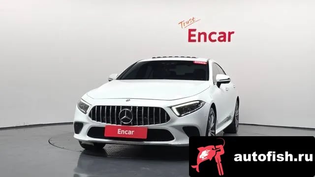 Mercedes-Benz CLS-Class CLS-Class C257 2019 года - вид 2