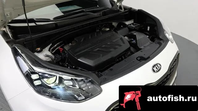 Kia Sportage Sportage The Bold 2019 года - вид 6