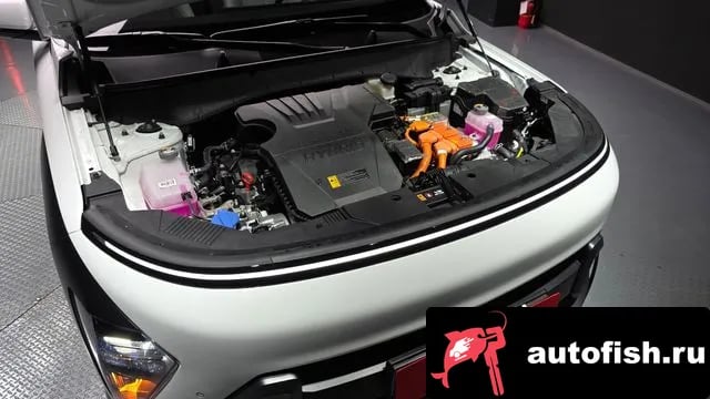 Hyundai Kona Kona Hybrid (SX2) 2025 года - вид 6