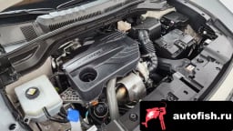 Миниатюра 6