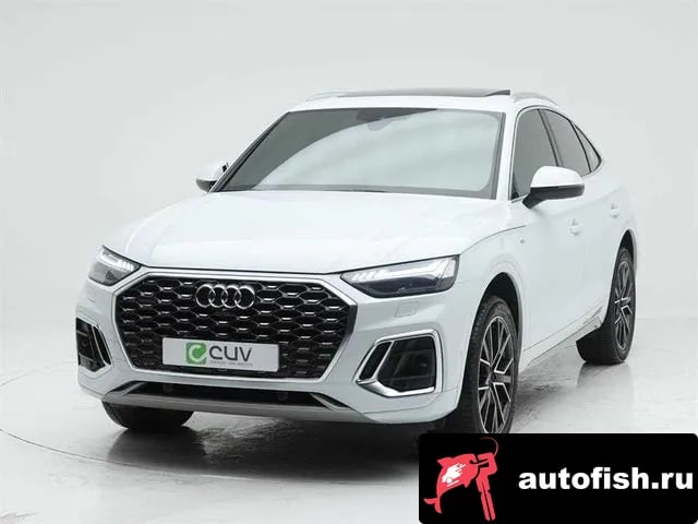 Audi Q5 Q5 (FY) 2023 года - вид 1