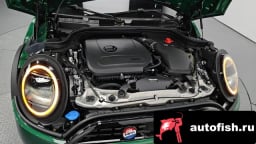 Миниатюра 6