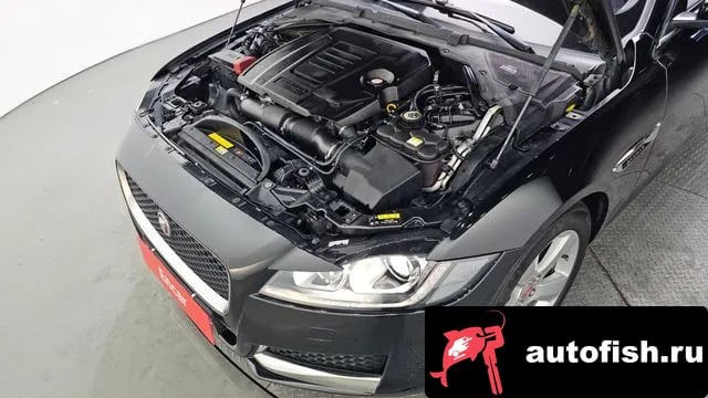 Jaguar XF XF (X260) 2018 года - вид 6
