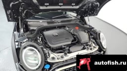 Миниатюра 6