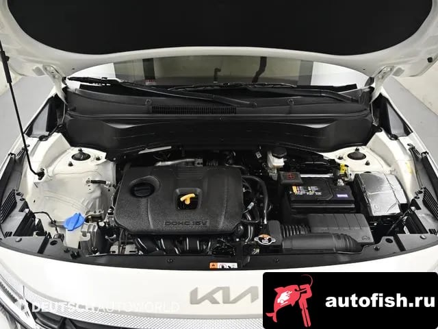 Kia Seltos The New Celtos 2024 года - вид 6
