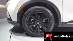 Миниатюра 5