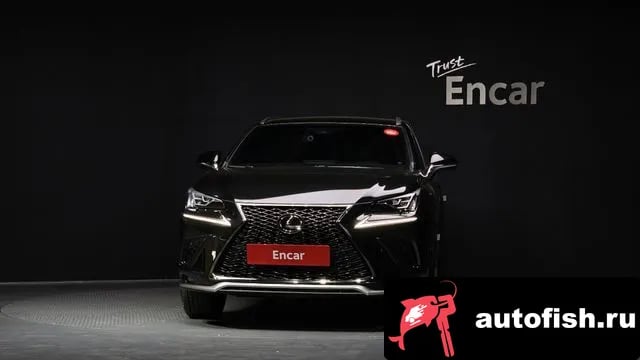 Lexus NX NX300 2018 года - вид 3