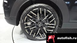 Миниатюра 5