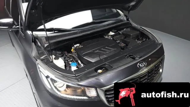 Kia Carnival The New Carnival 2019 года - вид 6