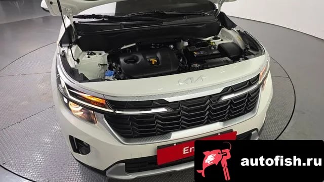 Kia Seltos The New Celtos 2024 года - вид 6