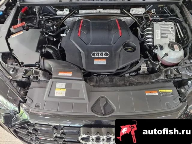 Audi SQ5 SQ5 (FY) 2023 года - вид 6