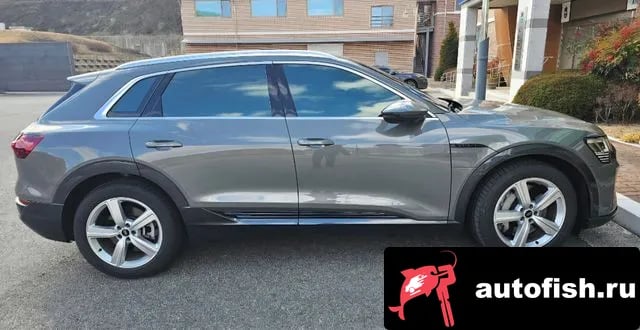 Audi Q8 e-tron Q8 e-Tron (GE) 2024 года - вид 5
