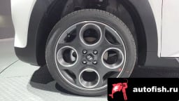 Миниатюра 5