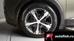 Миниатюра 5