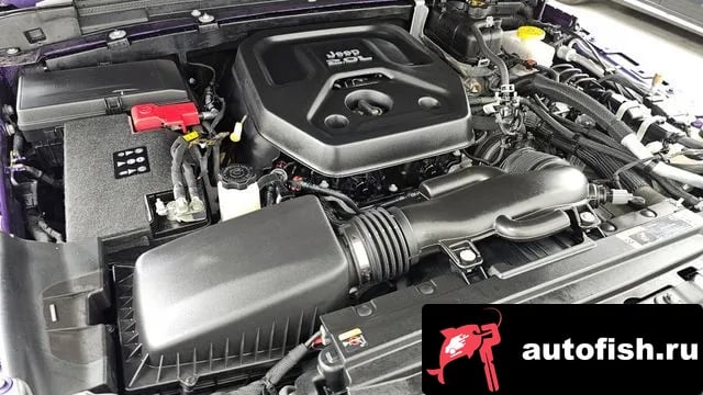 Jeep Wrangler Wrangler (JL) 2024 года - вид 6