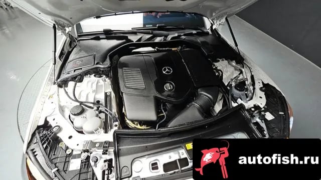 Mercedes-Benz C-Class C-Class W206 2025 года - вид 6