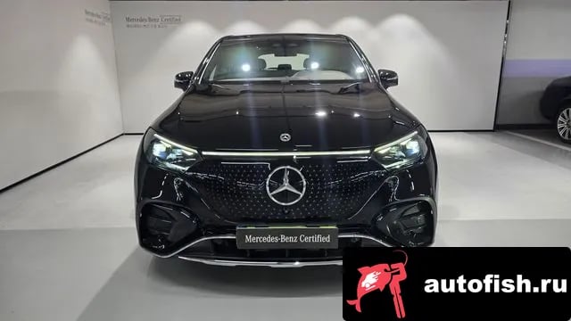 Mercedes-Benz EQE EQE SUV X294 2024 года - вид 6