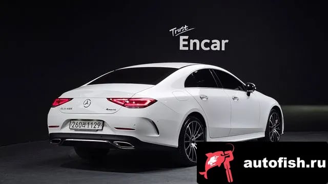 Mercedes-Benz CLS-Class CLS-Class C257 2019 года - вид 2