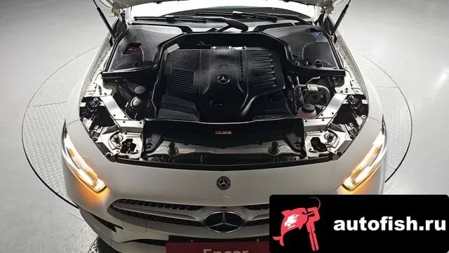 Mercedes-Benz CLS-Class CLS-Class C257 2019 года - вид 6