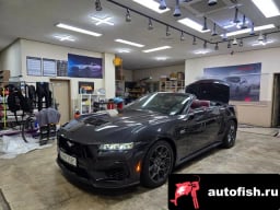 Миниатюра 6