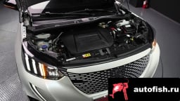 Миниатюра 6