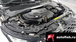 Миниатюра 6