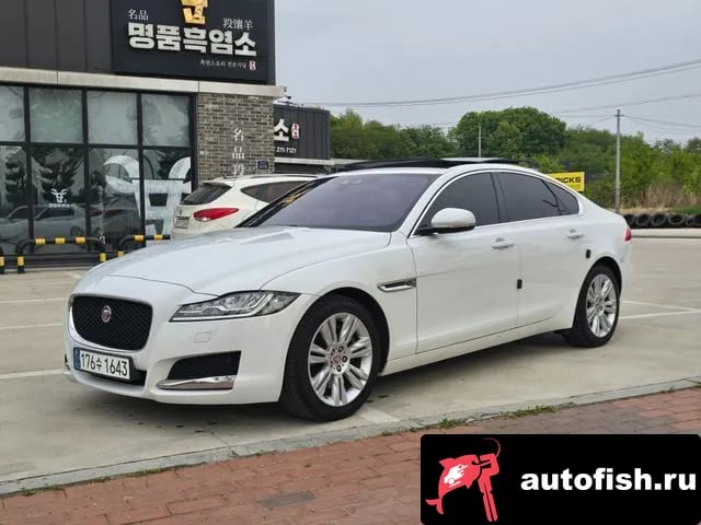 Jaguar XF XF (X260) 2019 года - автомобиль из Южной Кореи