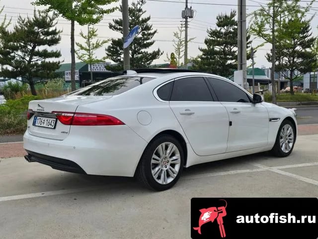 Jaguar XF XF (X260) 2019 года - вид 2