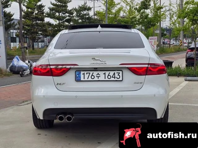 Jaguar XF XF (X260) 2019 года - вид 4
