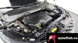 Миниатюра 6