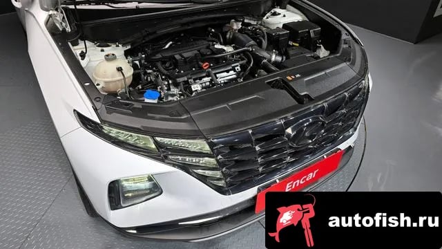 Hyundai Tucson Tucson (NX4) 2021 года - вид 6