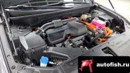 Миниатюра 6