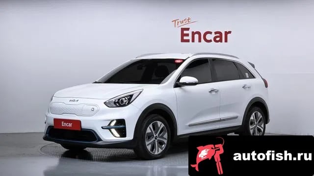Kia Niro Niro EV 2021 года - автомобиль из Южной Кореи