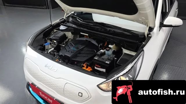 Kia Niro Niro EV 2021 года - вид 6