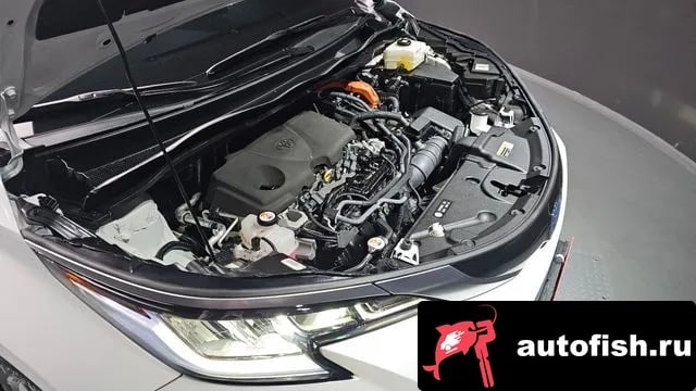 Toyota Sienna Siena 4th Generation 2023 года - вид 6