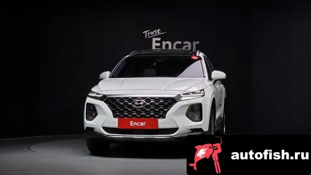 Hyundai Santafe San Tafe TM 2019 года - вид 3