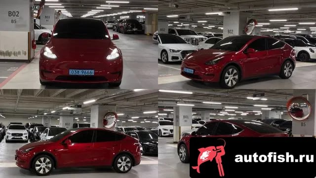 Tesla Model Y Model Y 2023 года - автомобиль из Южной Кореи