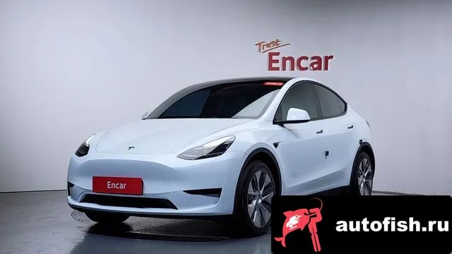 Tesla Model Y Model Y 2023 года - автомобиль из Южной Кореи