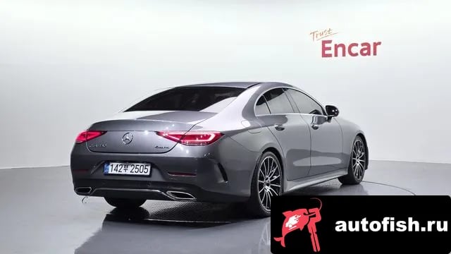 Mercedes-Benz CLS-Class CLS-Class C257 2019 года - вид 2