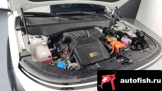 Hyundai Kona Kona Hybrid (SX2) 2023 года - вид 6